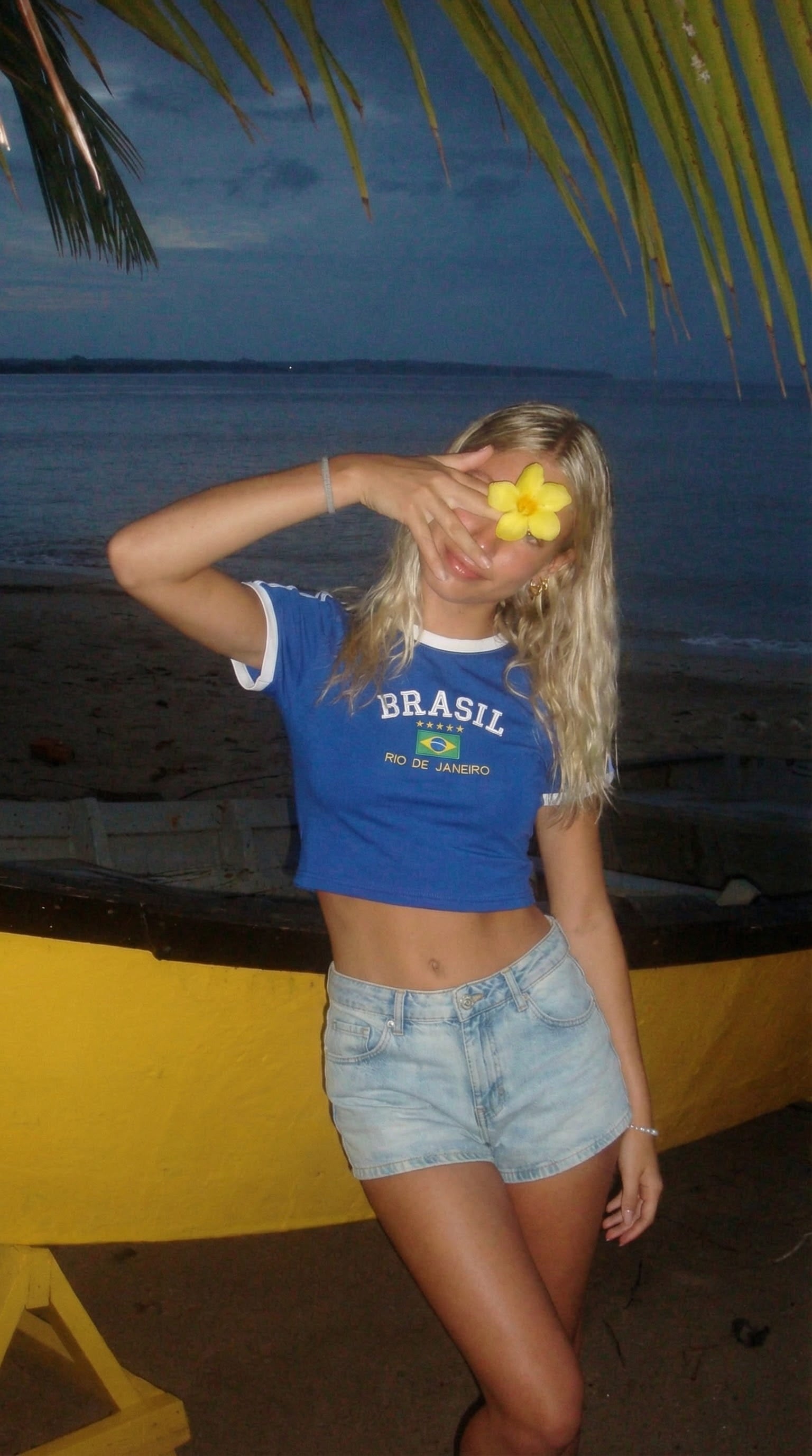 Brazil Blue Cropped Top